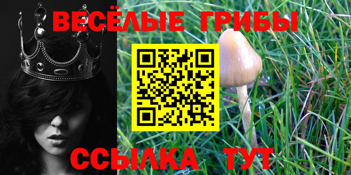 Галлюциногенные грибы мухоморы Киселёвск