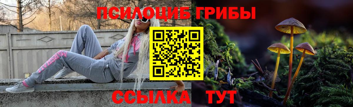 Псилоцибиновые грибы GOLDEN TEACHER  Вход с VPN  Псилоцибиновые грибы Cubensis  Киселёвск 