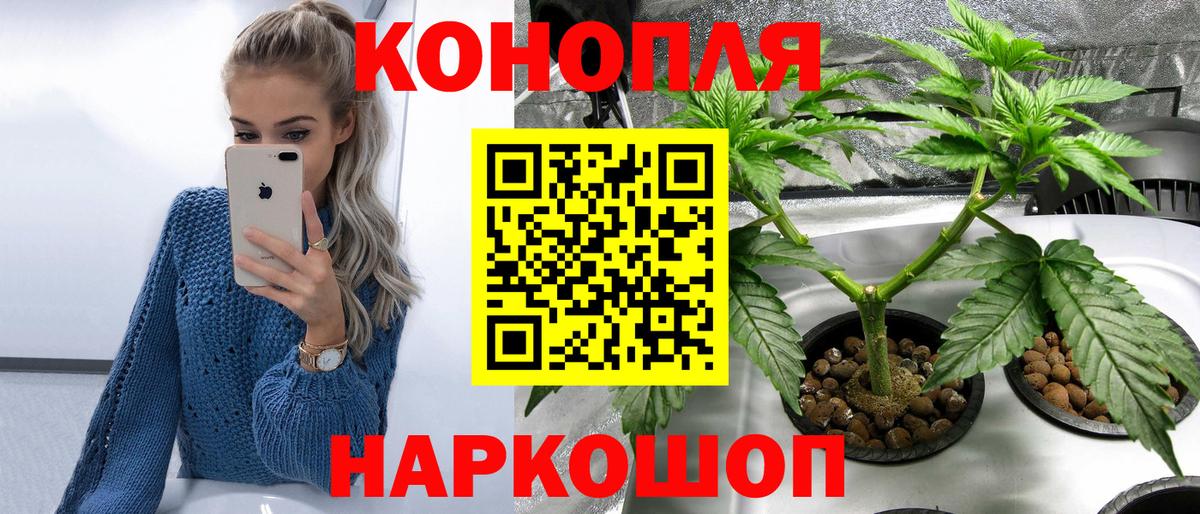 Каннабис OG Kush Киселёвск